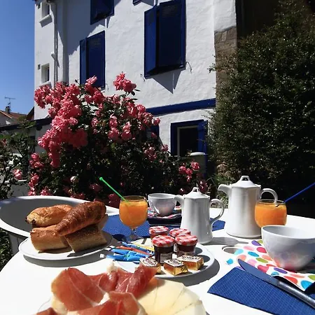 Hotel Ohartzia 3*