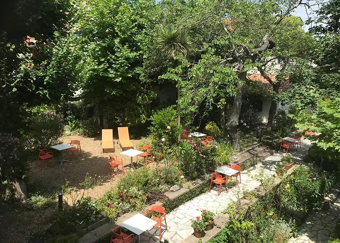 Ohartzia 圣让－德吕兹